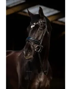 HB_Showtime_Dark_Eagle