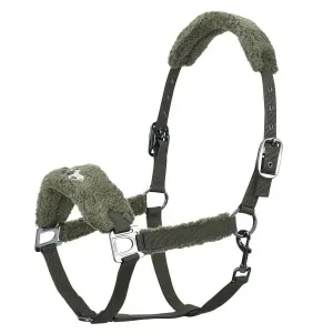 Halster_HVPTeddy_forest_green