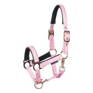 Halster_mini_veulen_Pink_dolphin