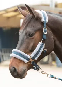 Halsterset_Just_Ride_Retro_Soft