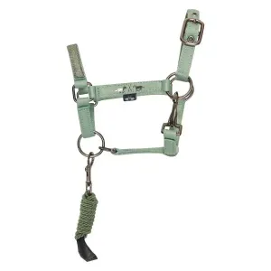 Hobby_Horse_halster_HVPRuby_Aqua_sky_