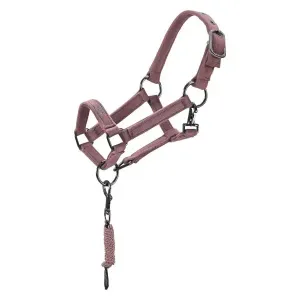 Hobby_Horse_halster_IRHVelvet_1