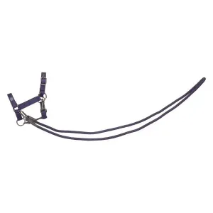 Hobby_Horse_headcollar_Free_Ride_IRHFree_Spirit
