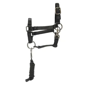 Hobby_Horse_headcollar_IRHFree_Spirit_1