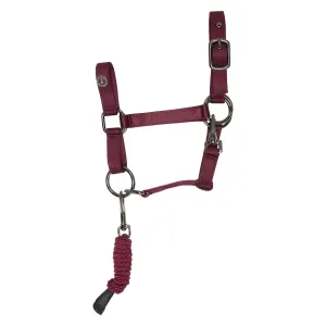 Hobby_Horse_headcollar_IRHFree_Spirit_2
