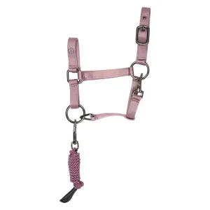 Hobby_Horse_headcollar_IRHFree_Spirit_3