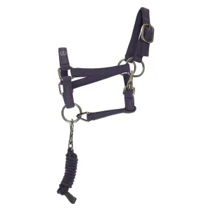 Hobby_Horse_headcollar_IRHFree_Spirit_5