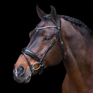 Hoofdstel_IRH_Olympia___Black_Rose_gold