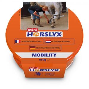 Horslyx_Mobility_Balancer_Mini