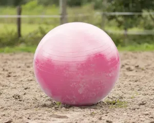 Paardenvoetbal_pink_80_100cm