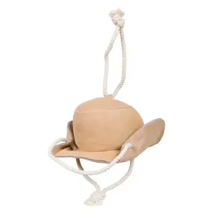 Stable_buddy_IRHCowboy_hat
