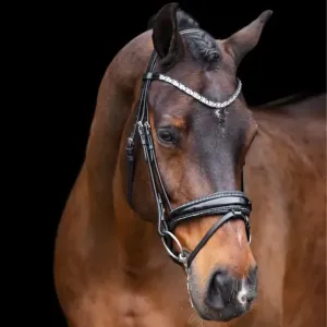 snaffle_bridle_Irholympia_black_silver